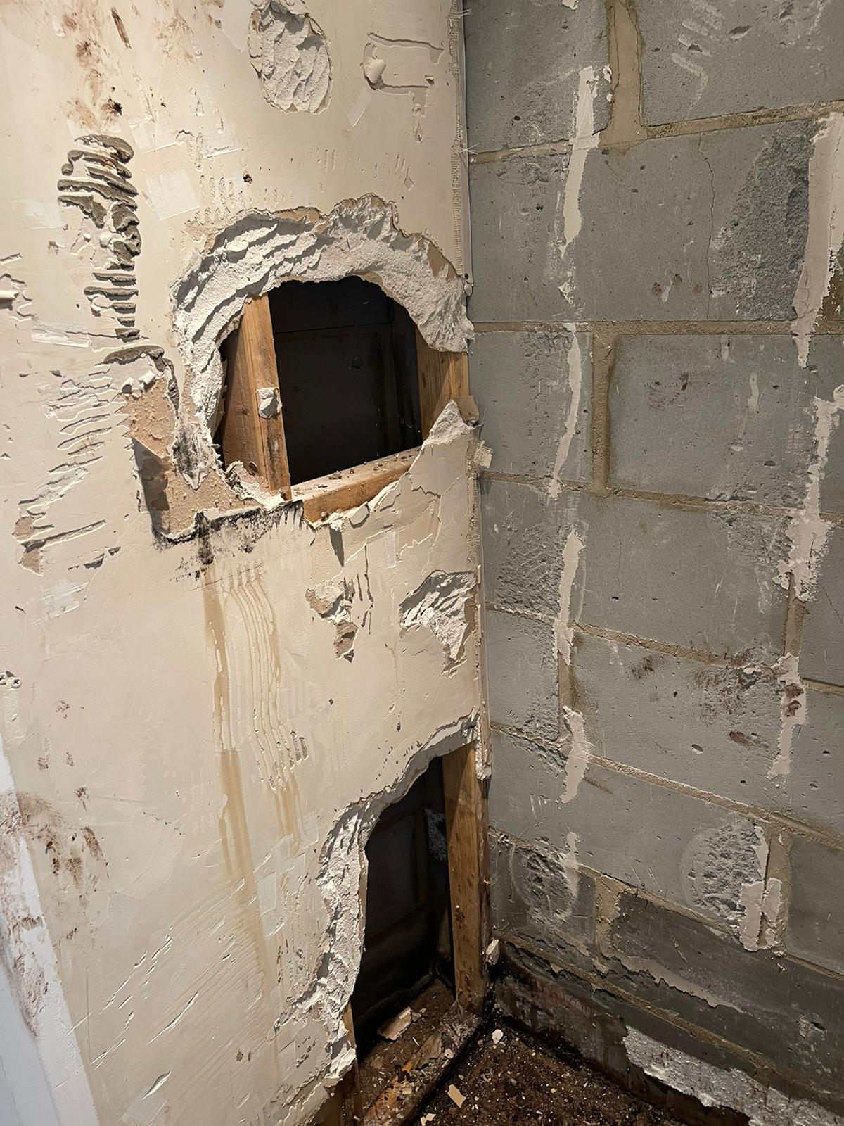 shower refurb WIP 1 Damaged wall with two large holes revealing wooden framing behind.