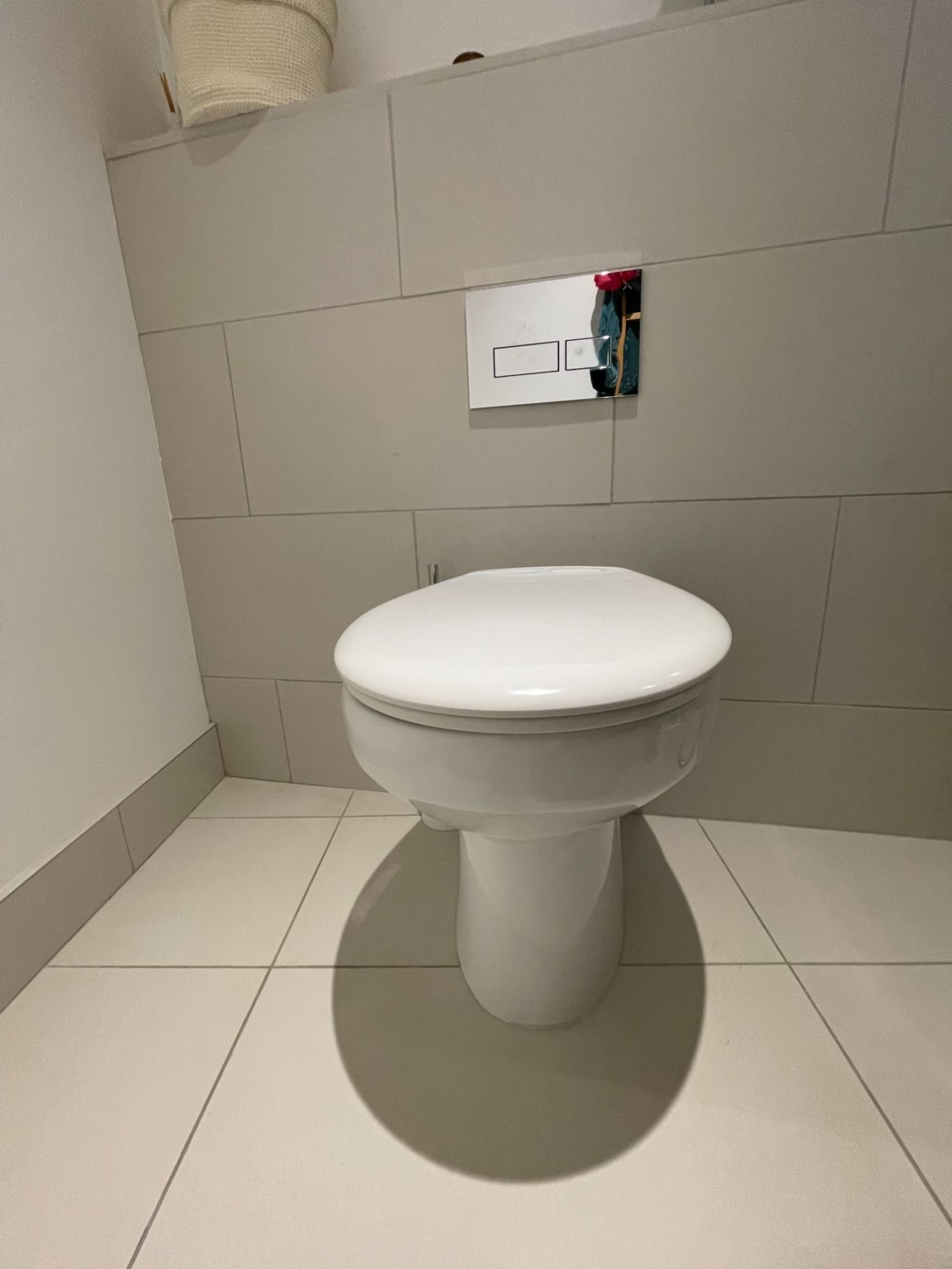 toilet and flusher